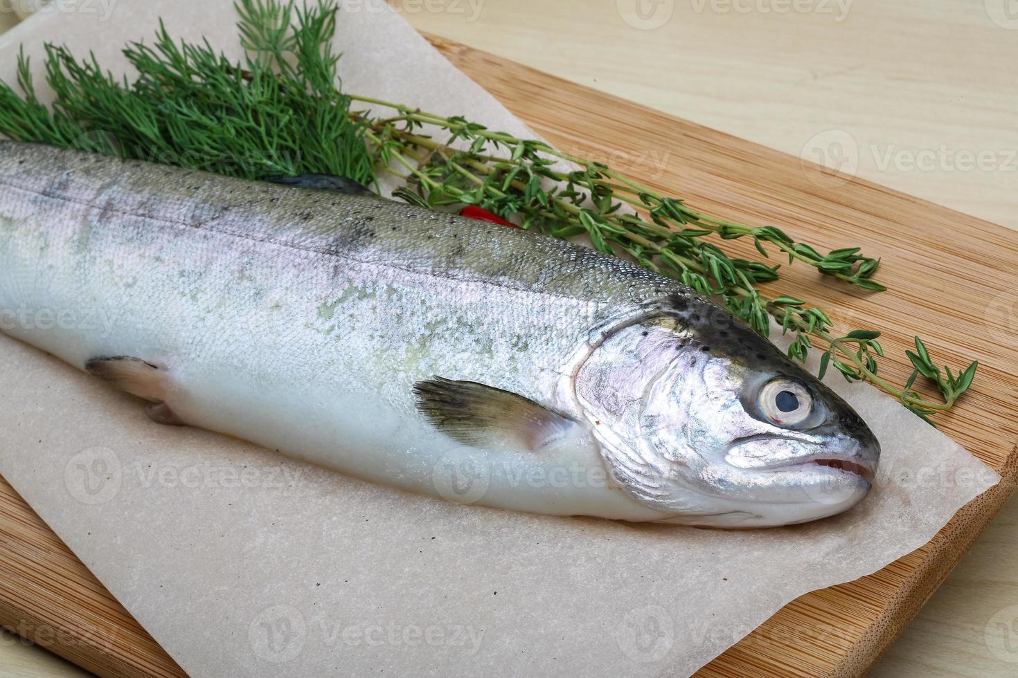 Raw trout on a board photo