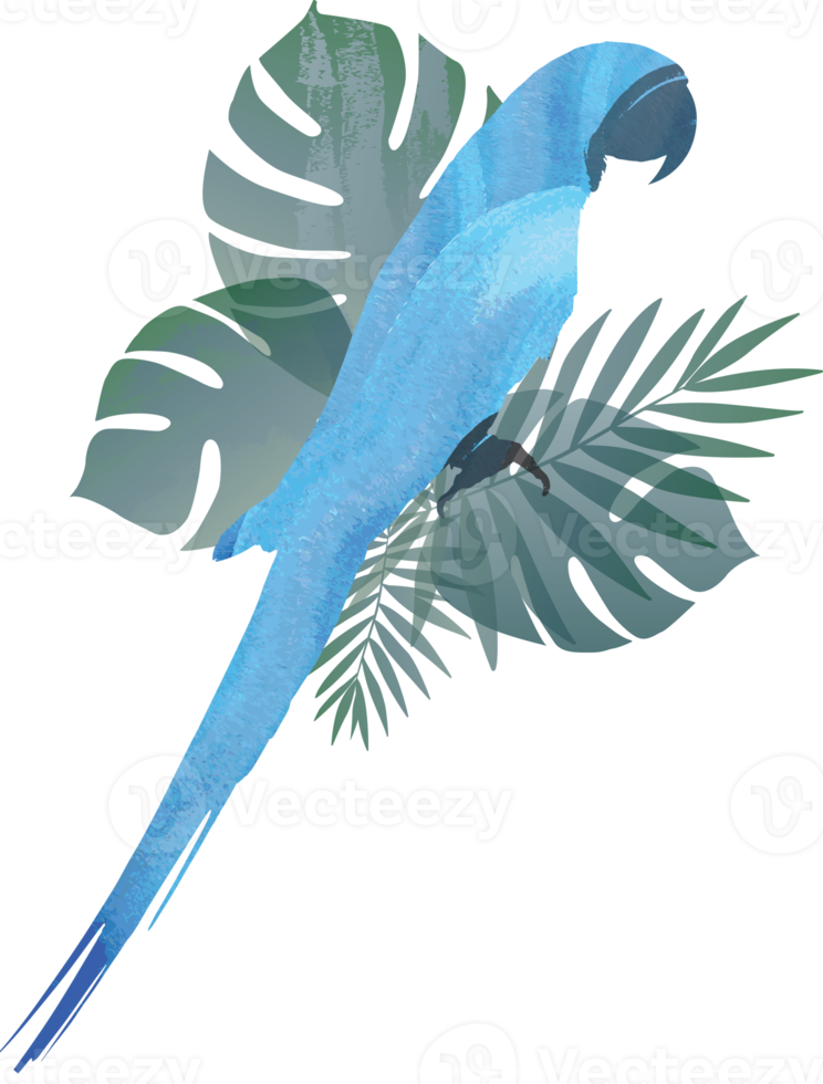 fond de motif d'oiseau ara coloré. png