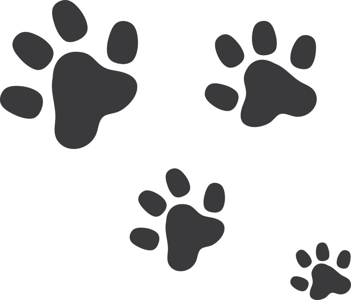 asiático Partina City Hecho para recordar paw print png humor maíz En