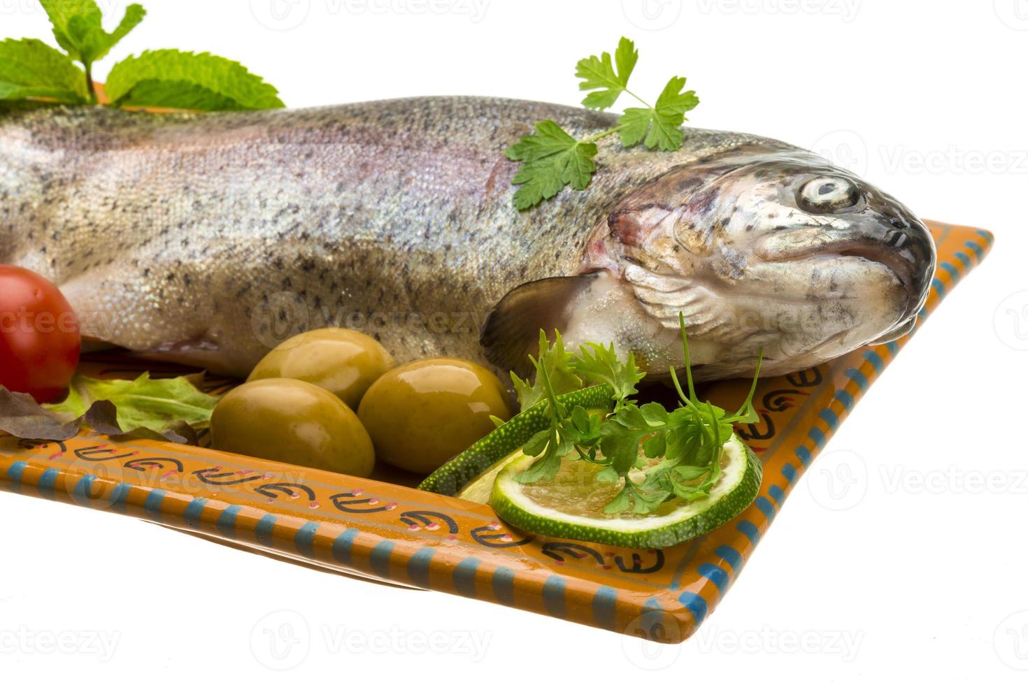 Fresh raw rainbow trout photo