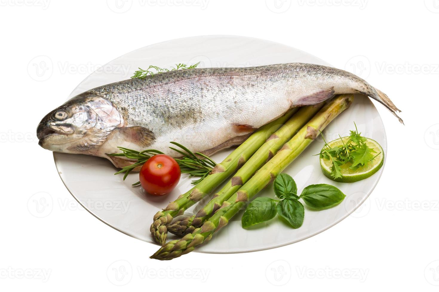 Fresh raw rainbow trout photo