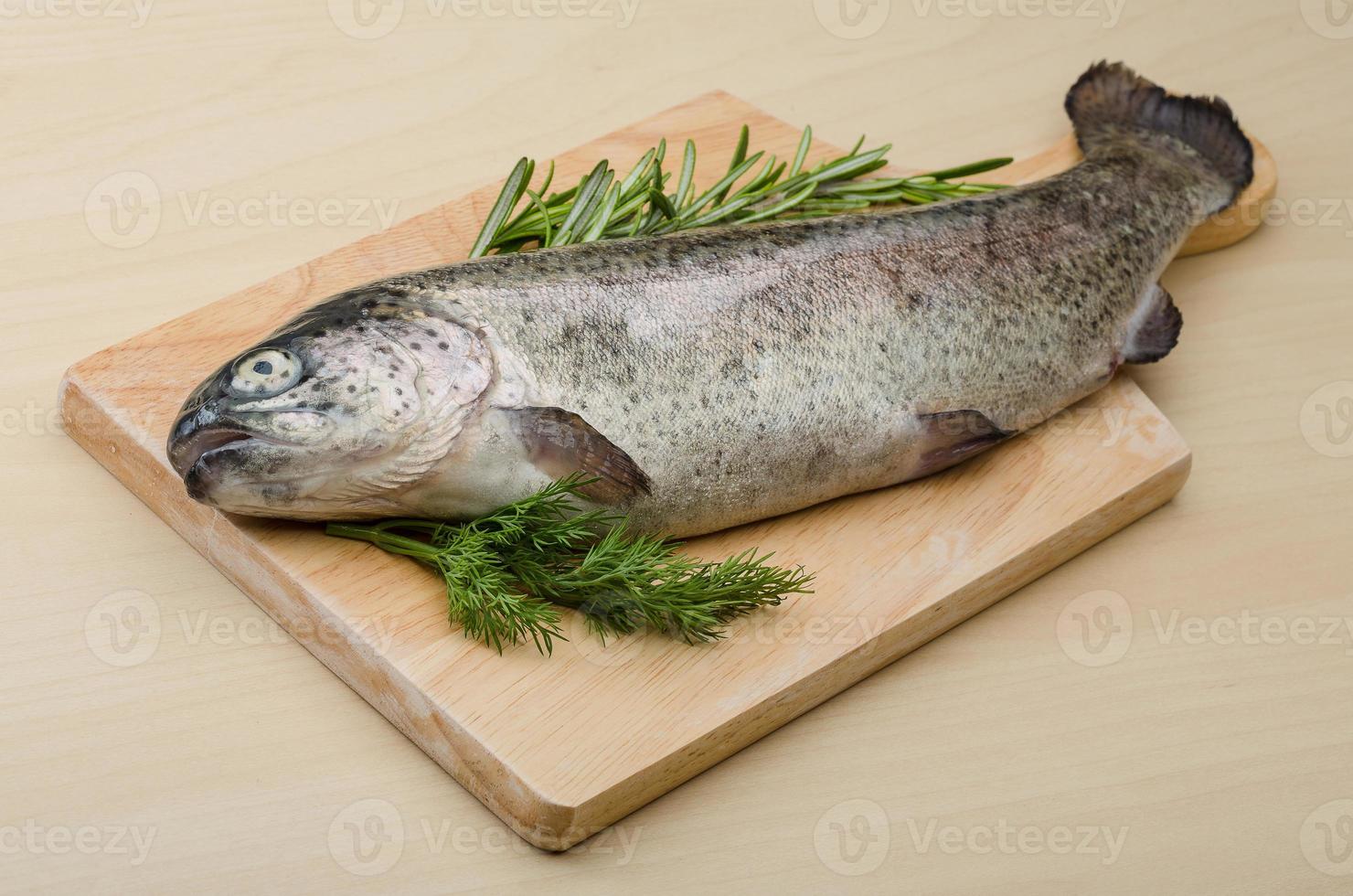 Raw fresh trout photo