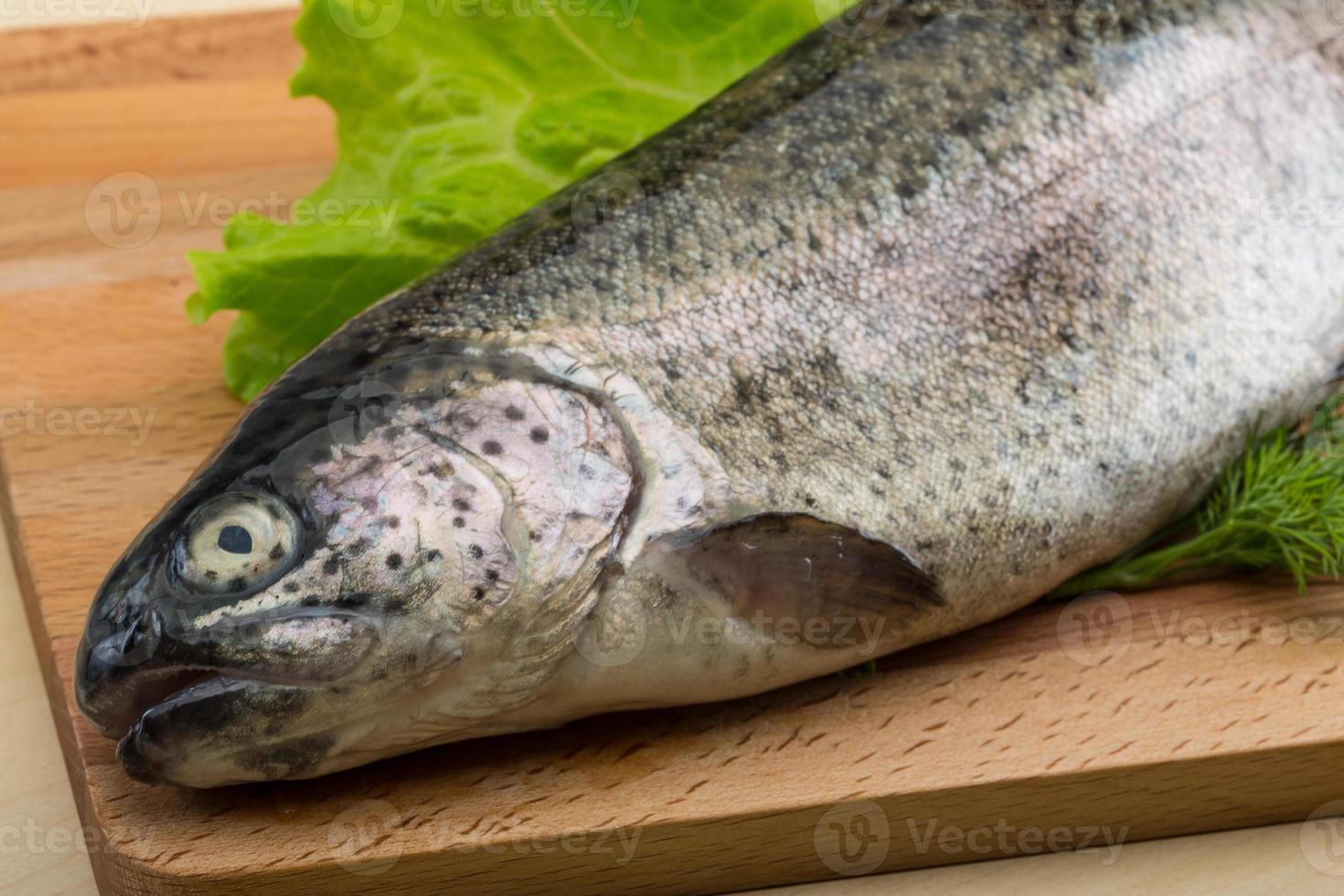 Raw fresh trout photo