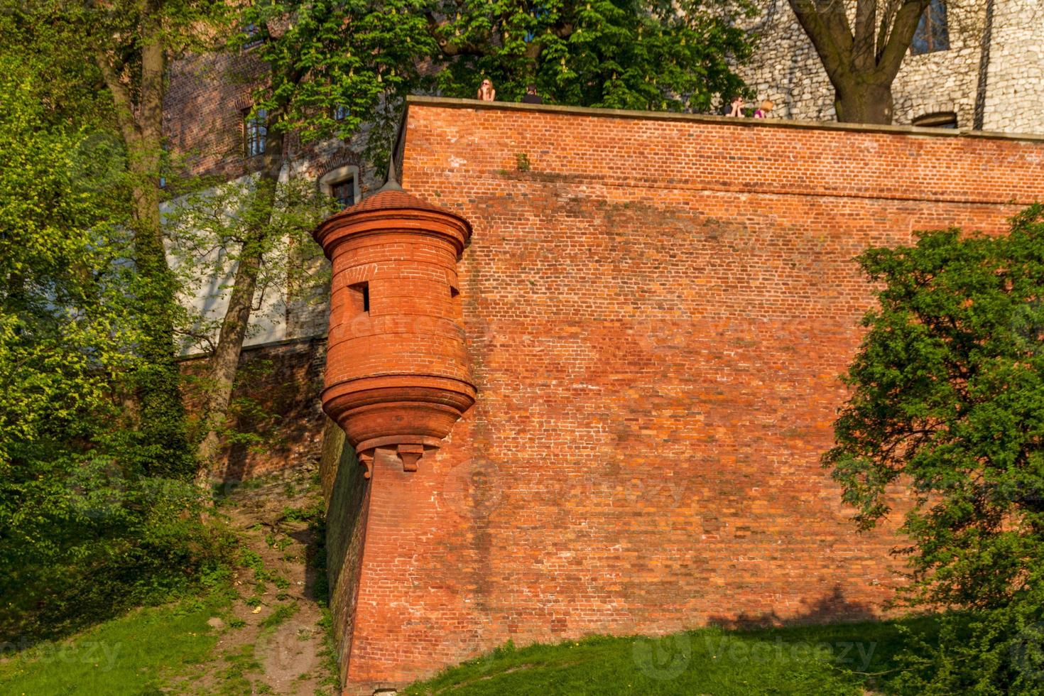 Royal castle in Wawel, Krarow photo