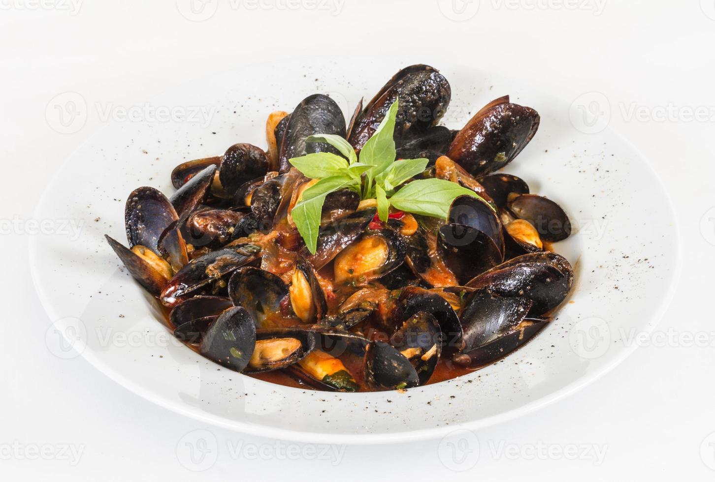 close up on mussels on white background photo