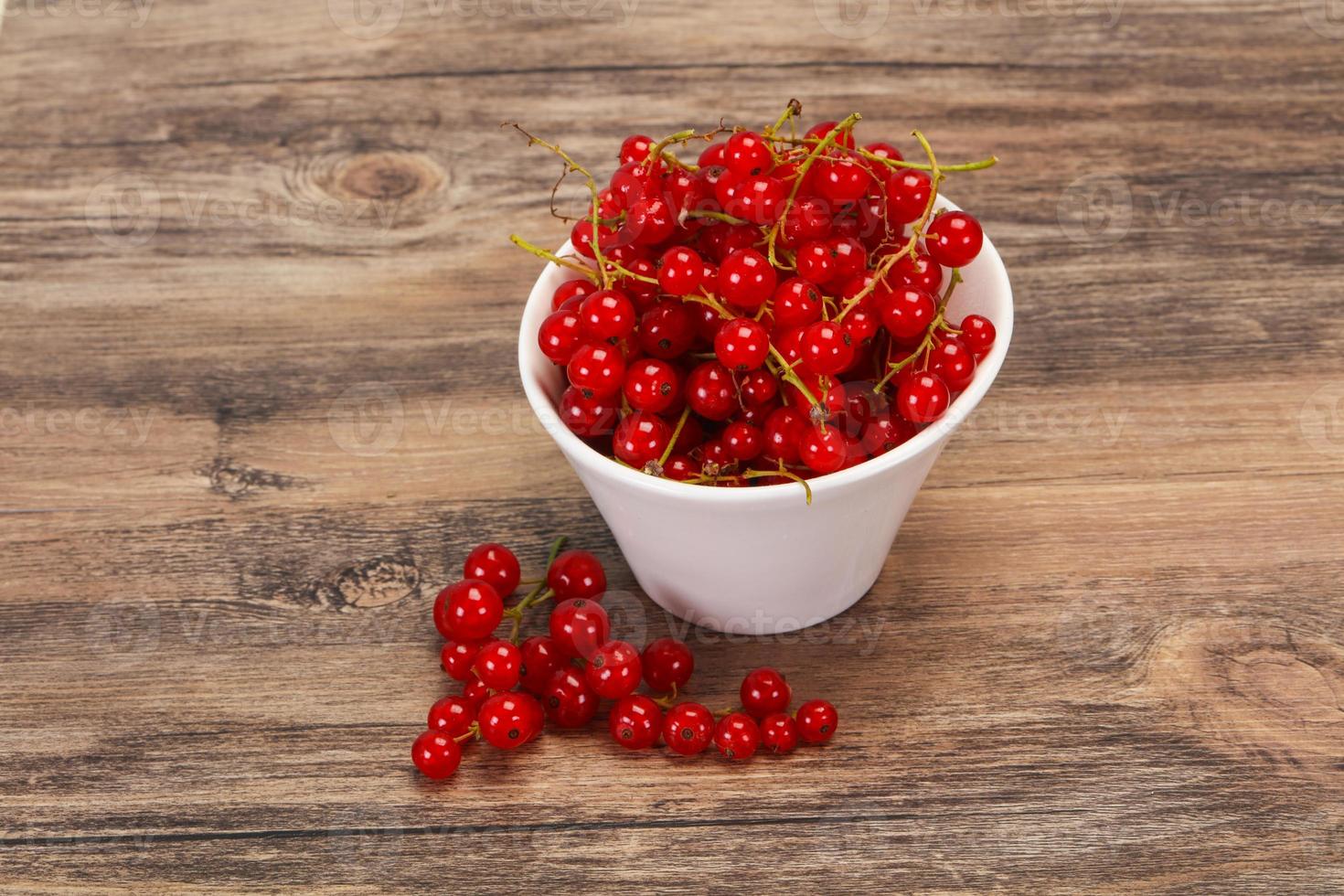 Sweet tasty fresh Red currant photo