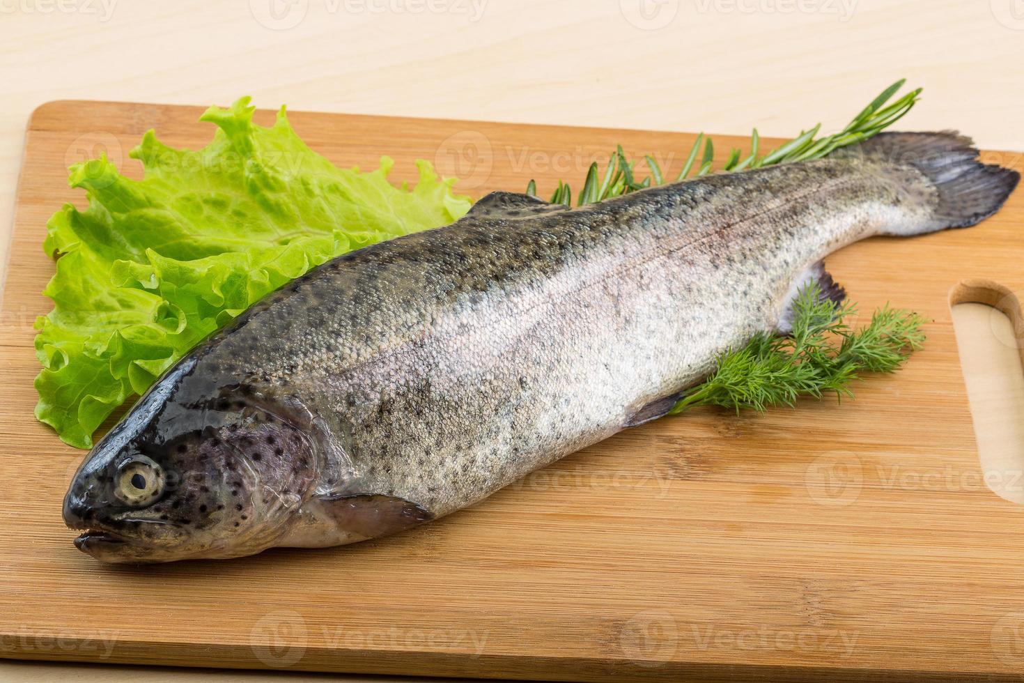 Raw fresh trout photo