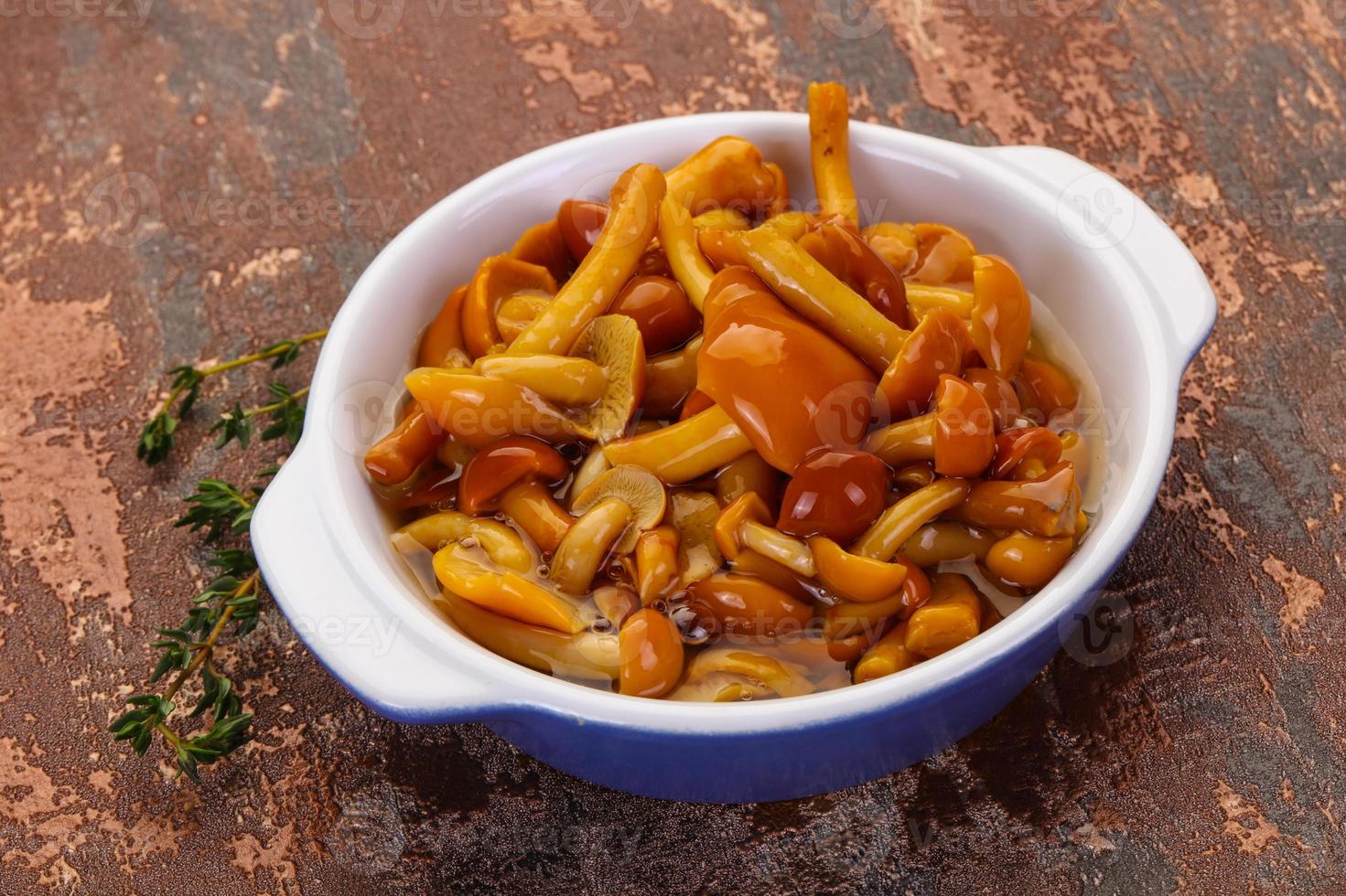Pickled honey agaric photo