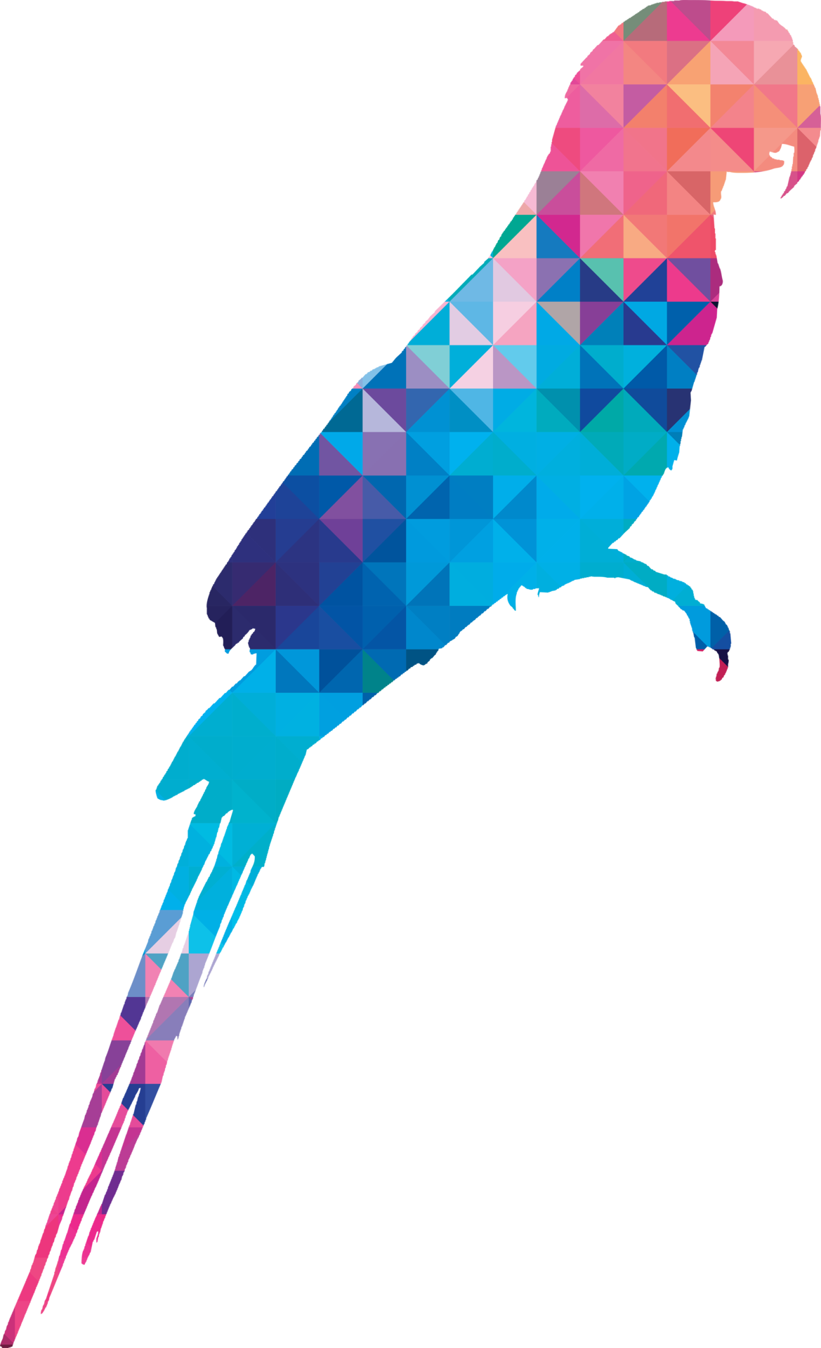 colorful-macaw-bird-pattern-background-8475682-png