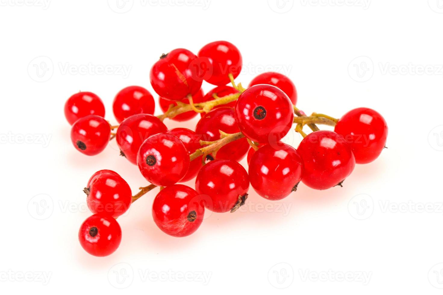 Sweet tasty fresh Red currant photo