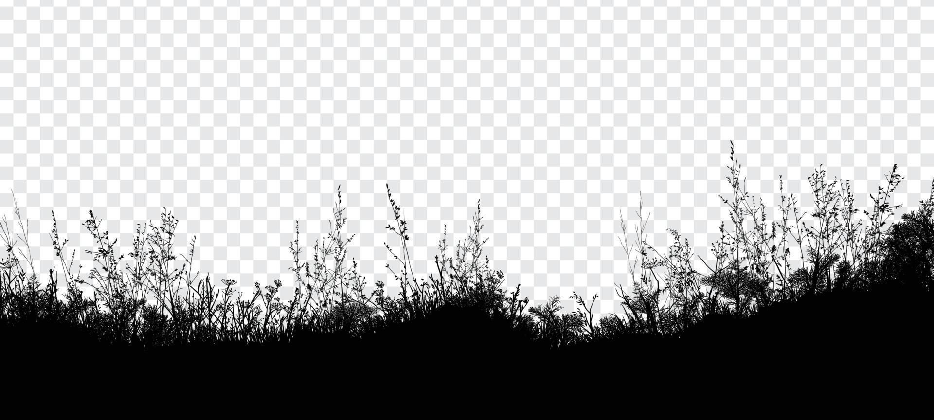 Grassland Meadow Silhouette Banner Background vector