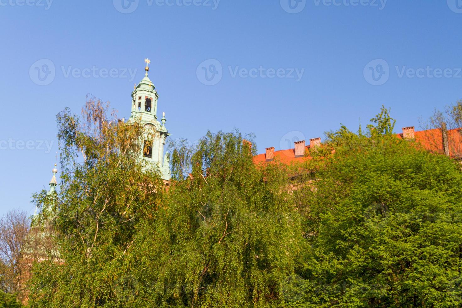 Royal castle in Wawel, Krarow photo