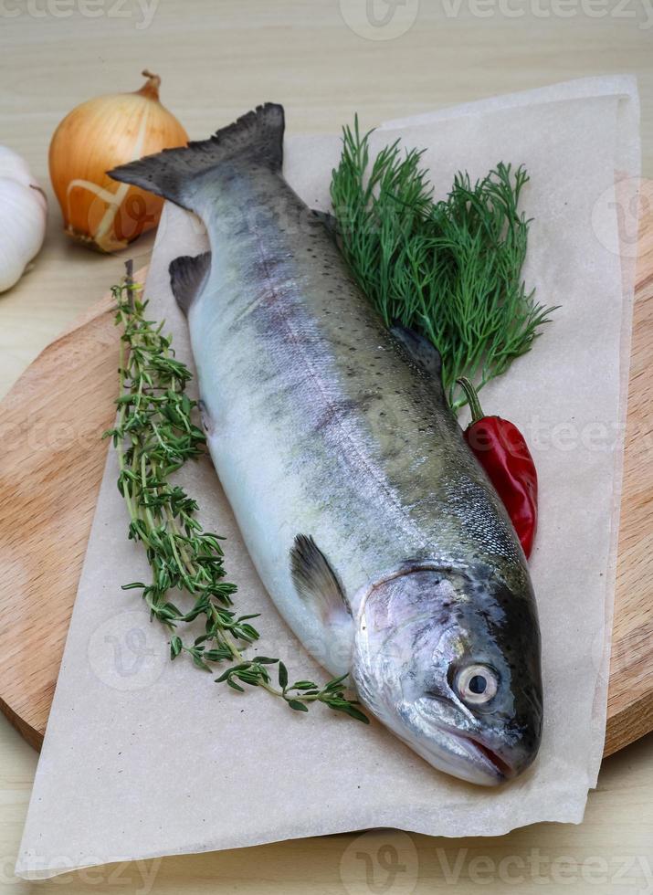 Raw trout on a board photo