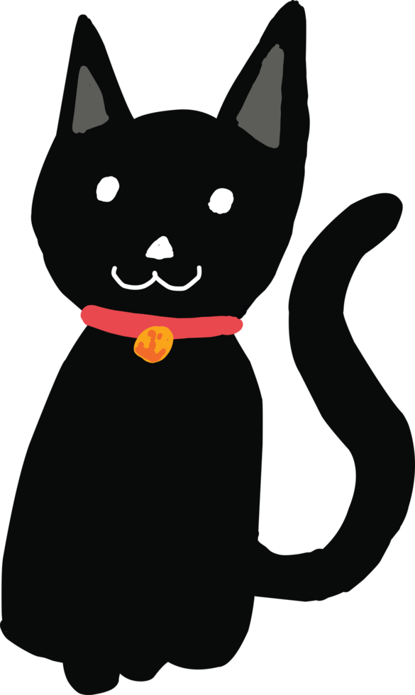 el gato Negro png