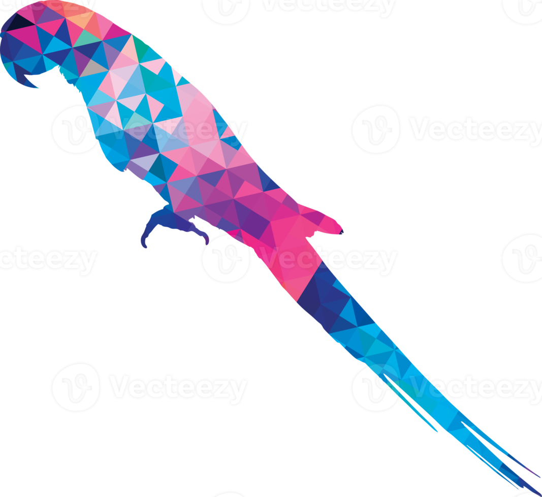 Colorful Macaw bird  pattern background. png