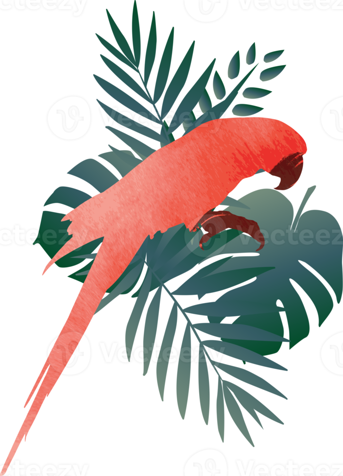 fond de motif d'oiseau ara coloré. png