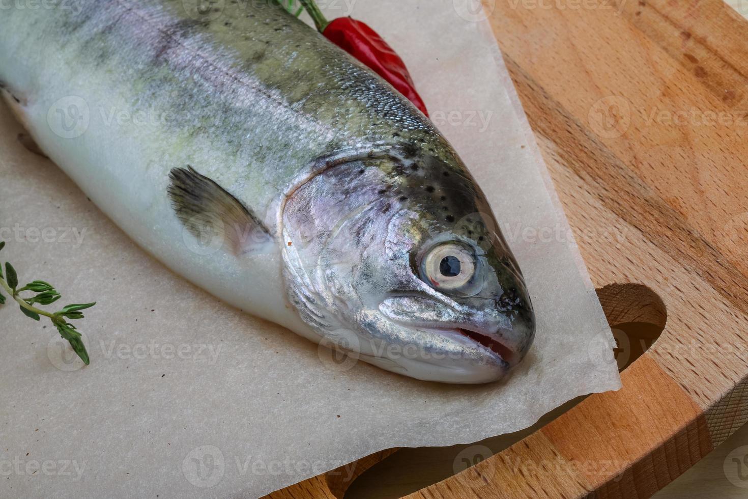 Raw trout on a board photo