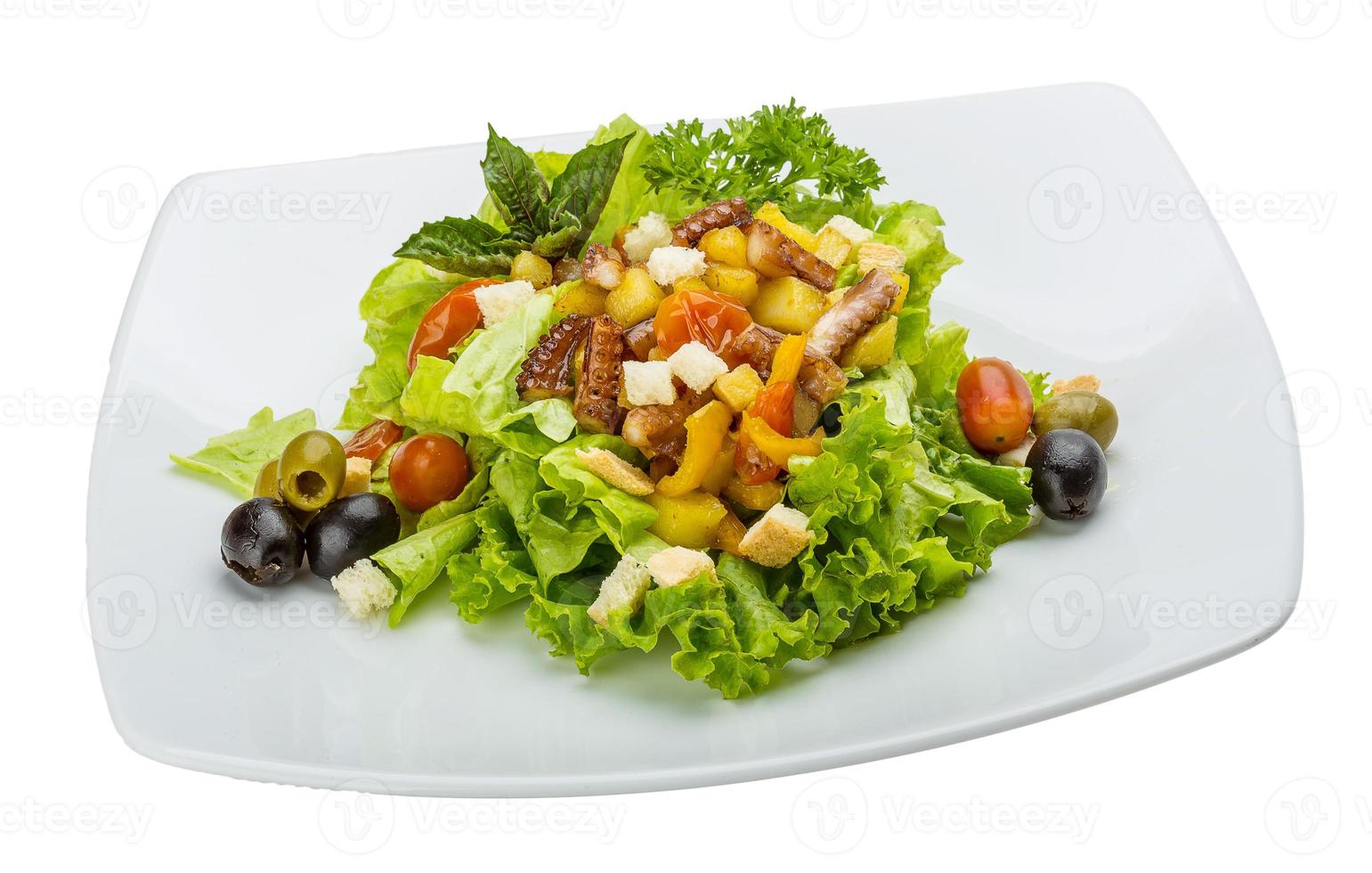 Octopus salad on white background photo