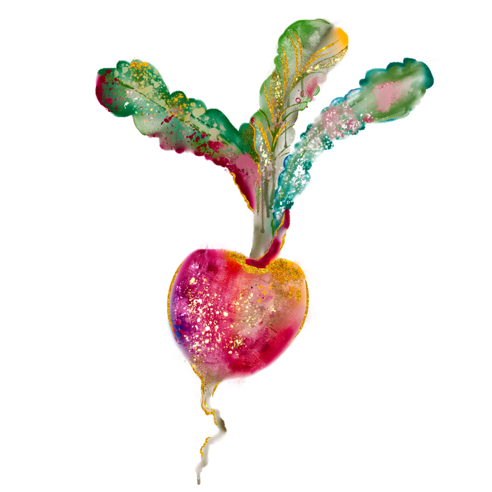 Hand drawn watercolor vegetable png