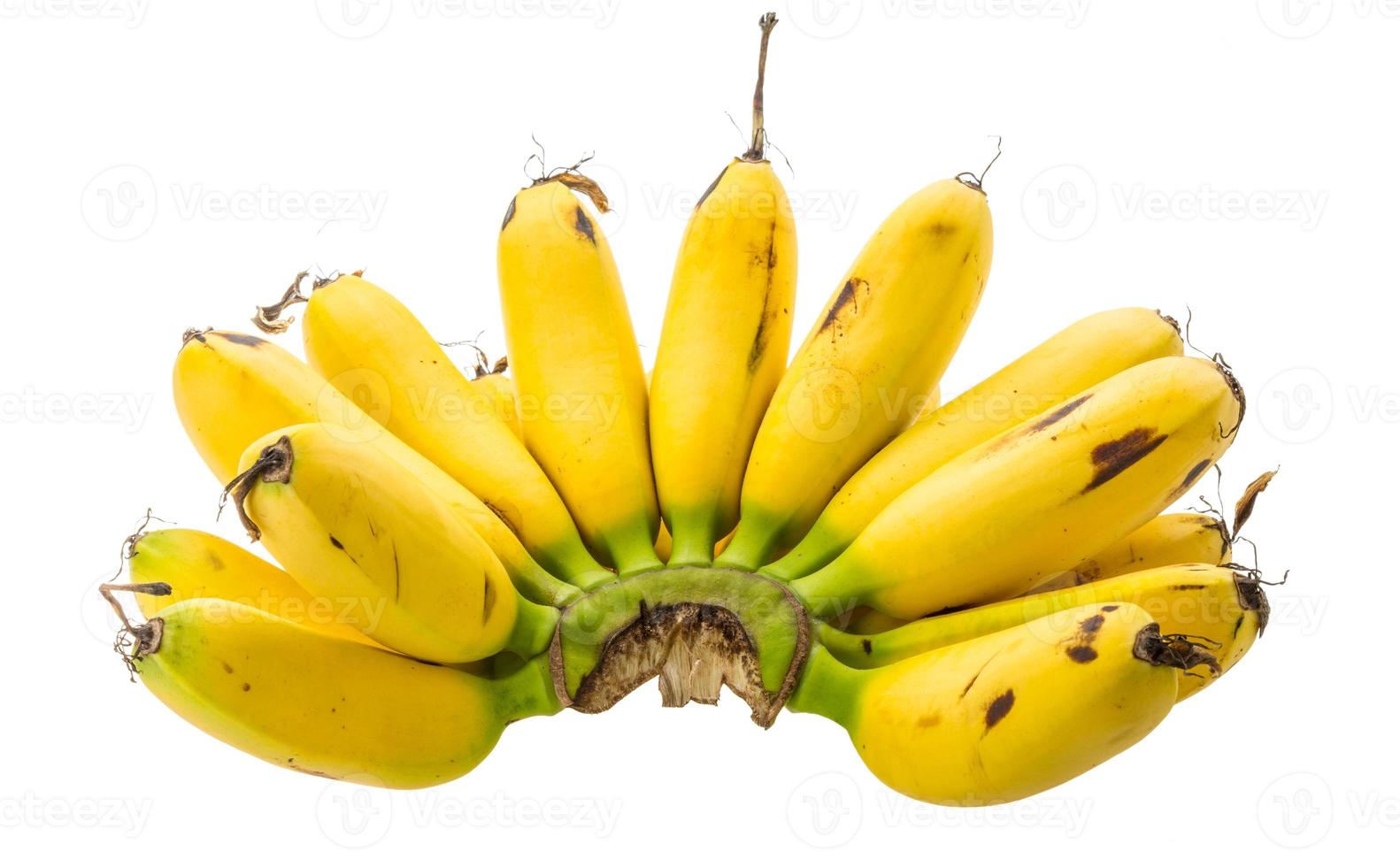 Baby banana on white photo