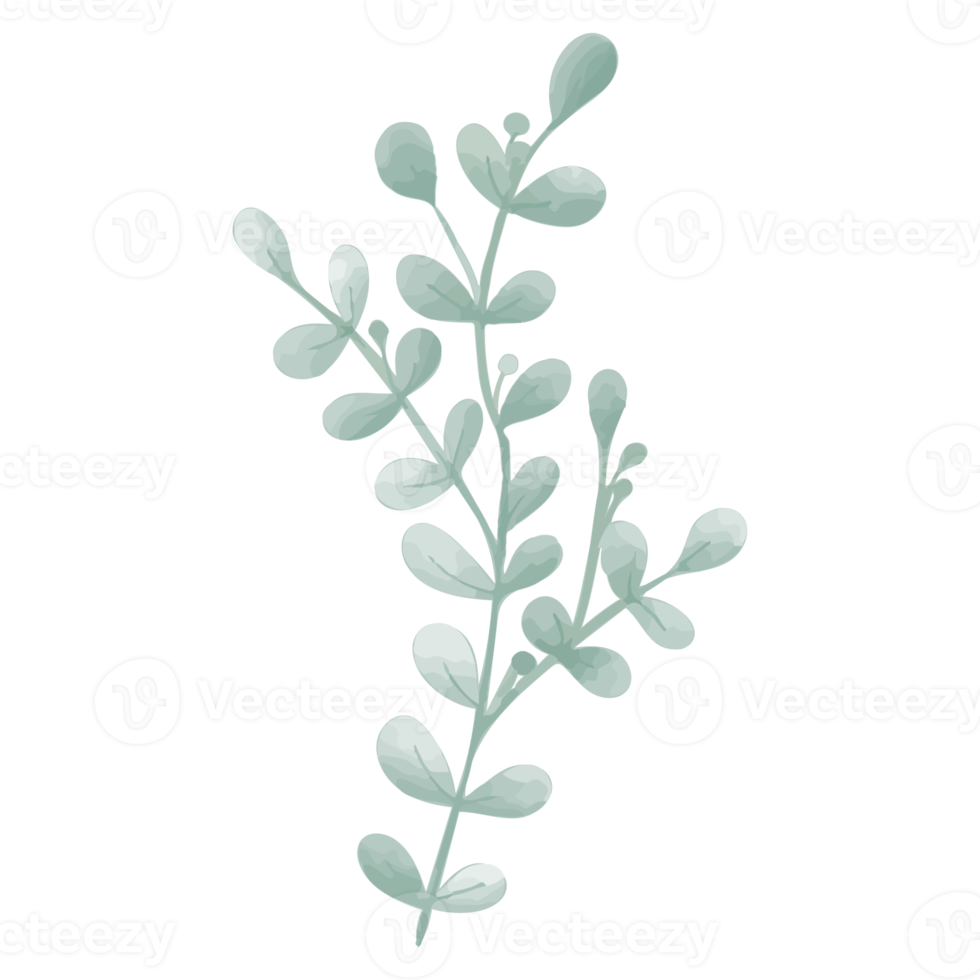 hoja de acuarela, imágenes prediseñadas de hojas verdes png