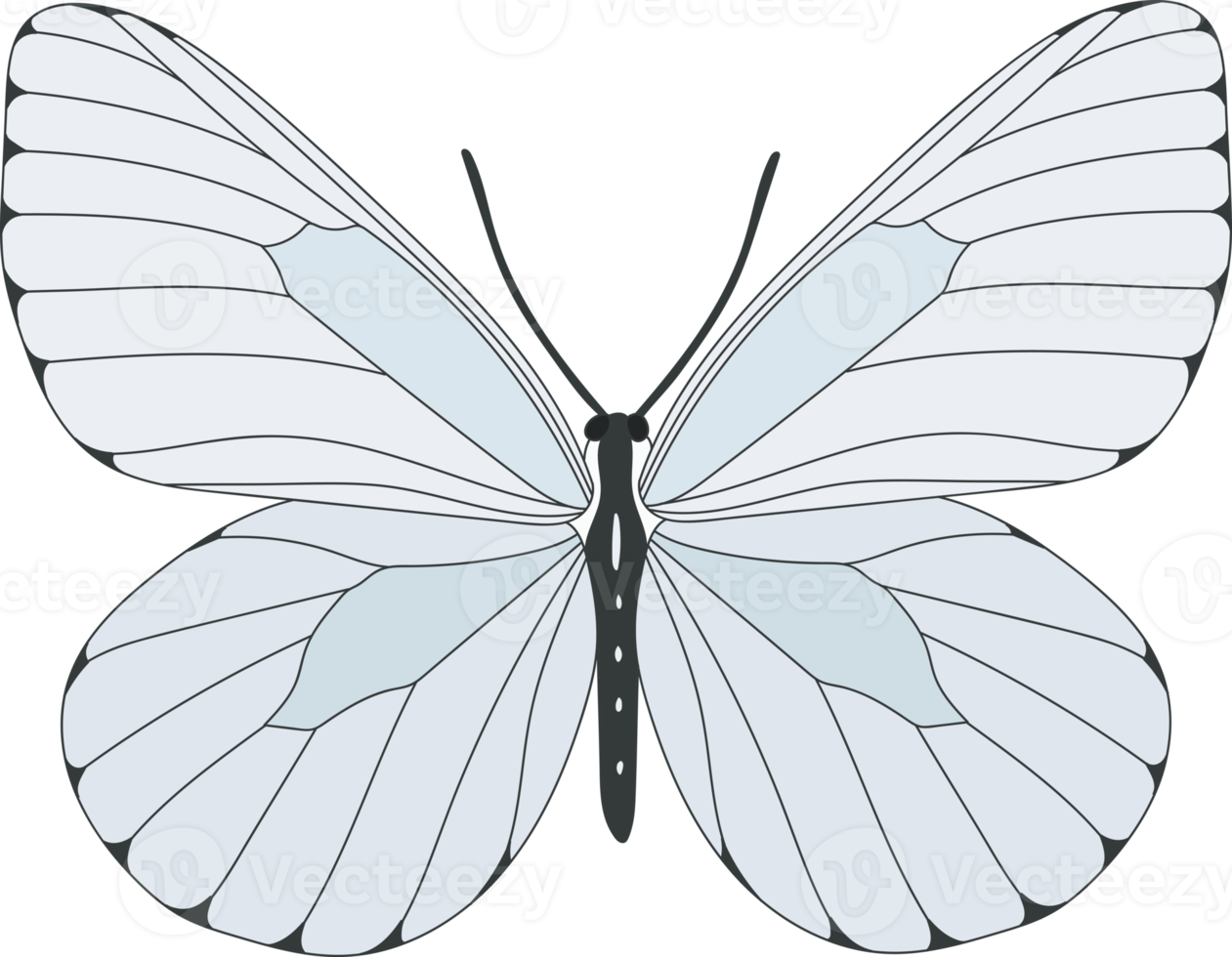 ilustração de borboleta desenhada de mão. png