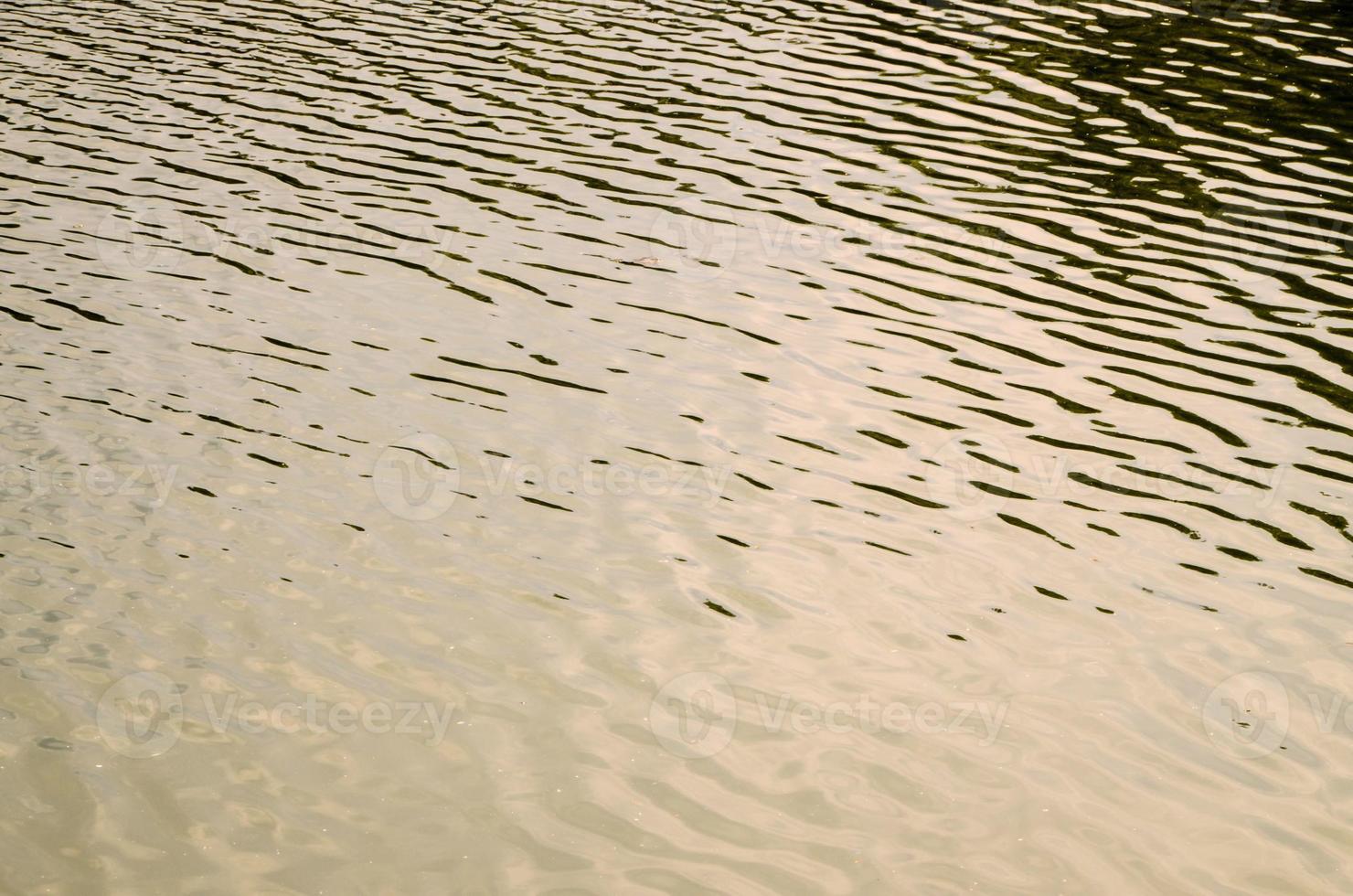 Green Water Texture photo