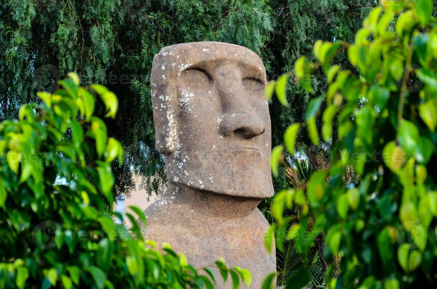 moai de pie de la isla de pascua foto