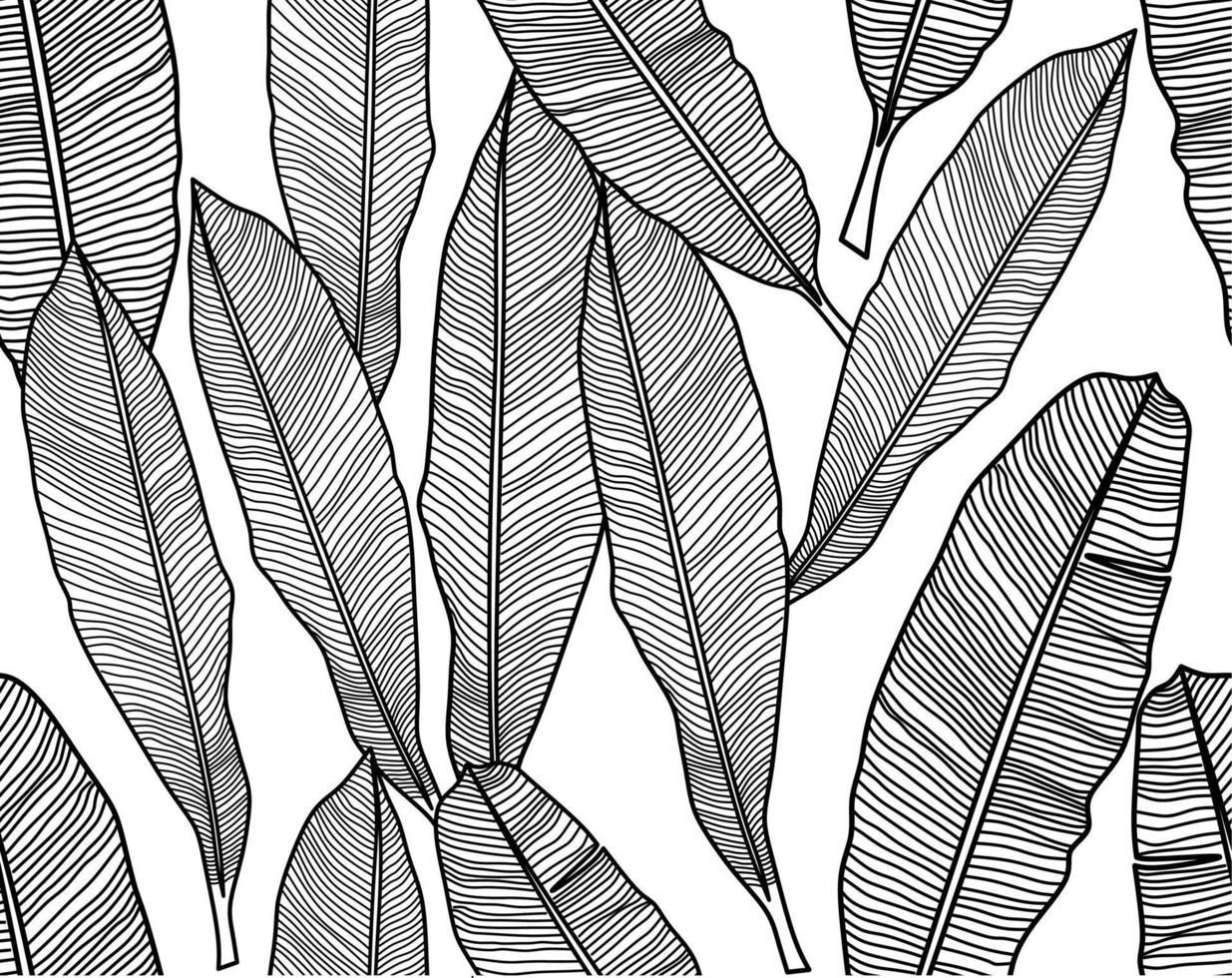 outline Seamless pattern with banana leaves isolated on white background. Decorative image of tropical foliage and plants vector