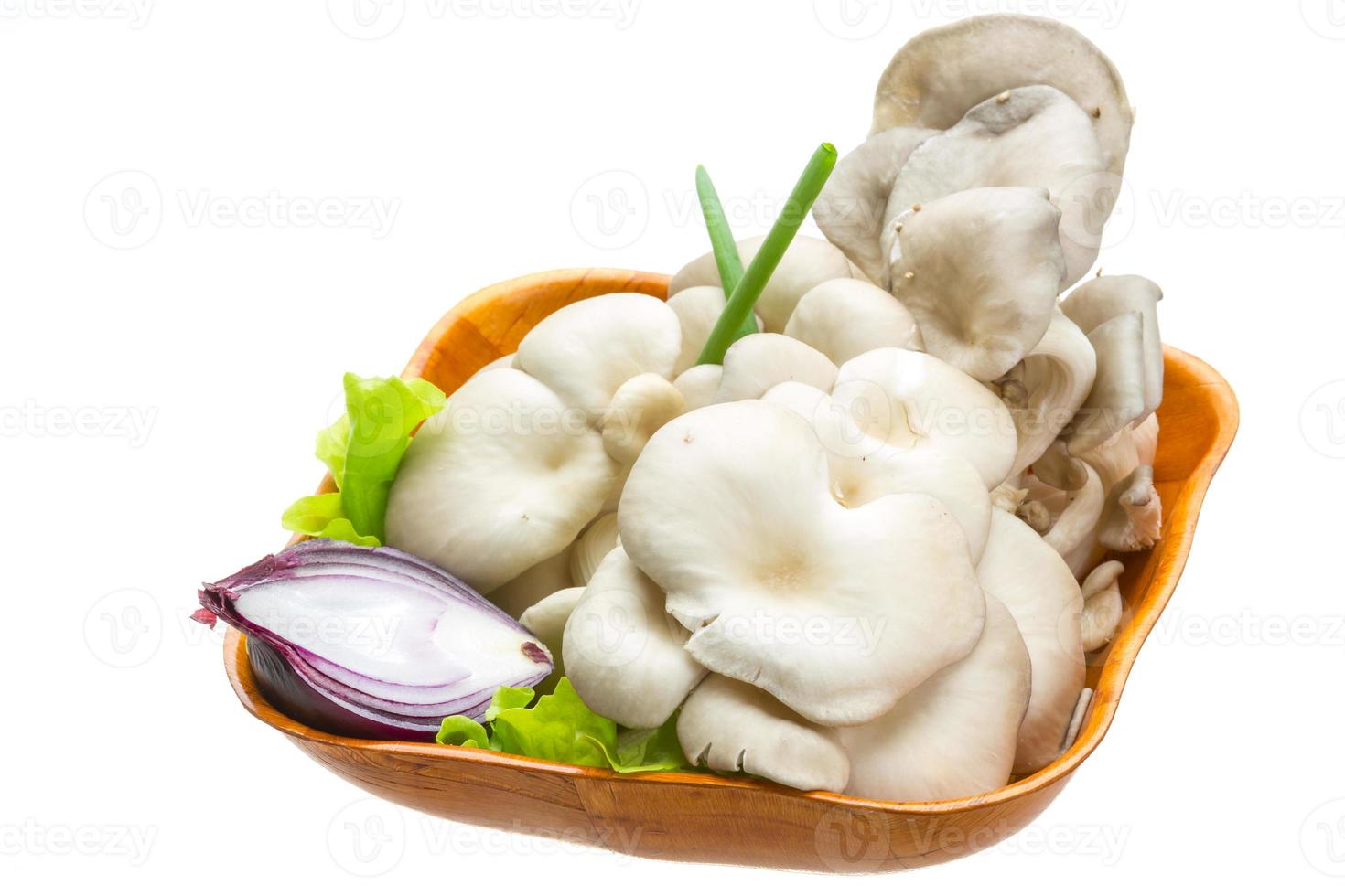 Fresh Fungus on white photo