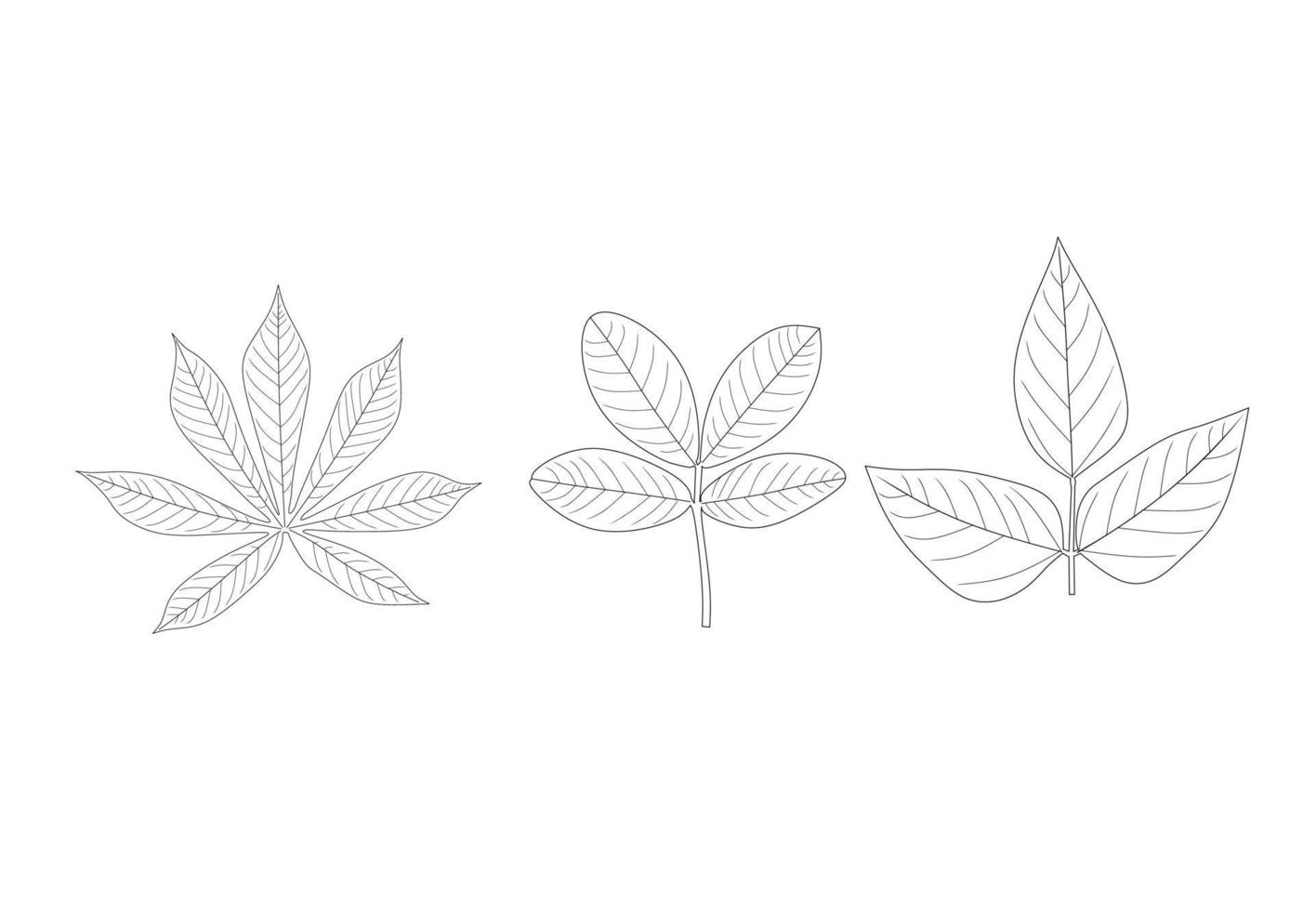 Manihot esculenta, cassava, manioc,yuca, peanut ,Arachis hypogaea,groundnut,goober , pindar , monkey nut,soybean, soy bean, or soya bean ,Glycine max leaves icon set vector