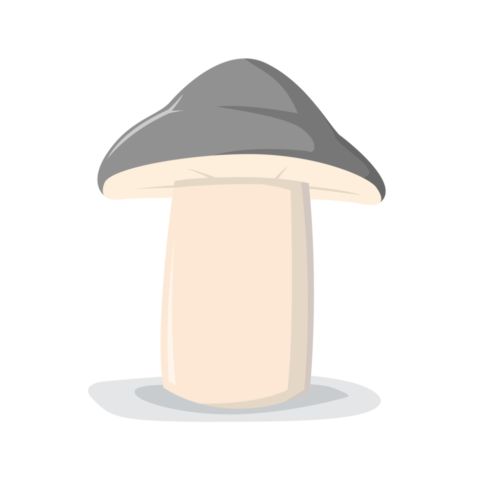 mushroom in flat style png