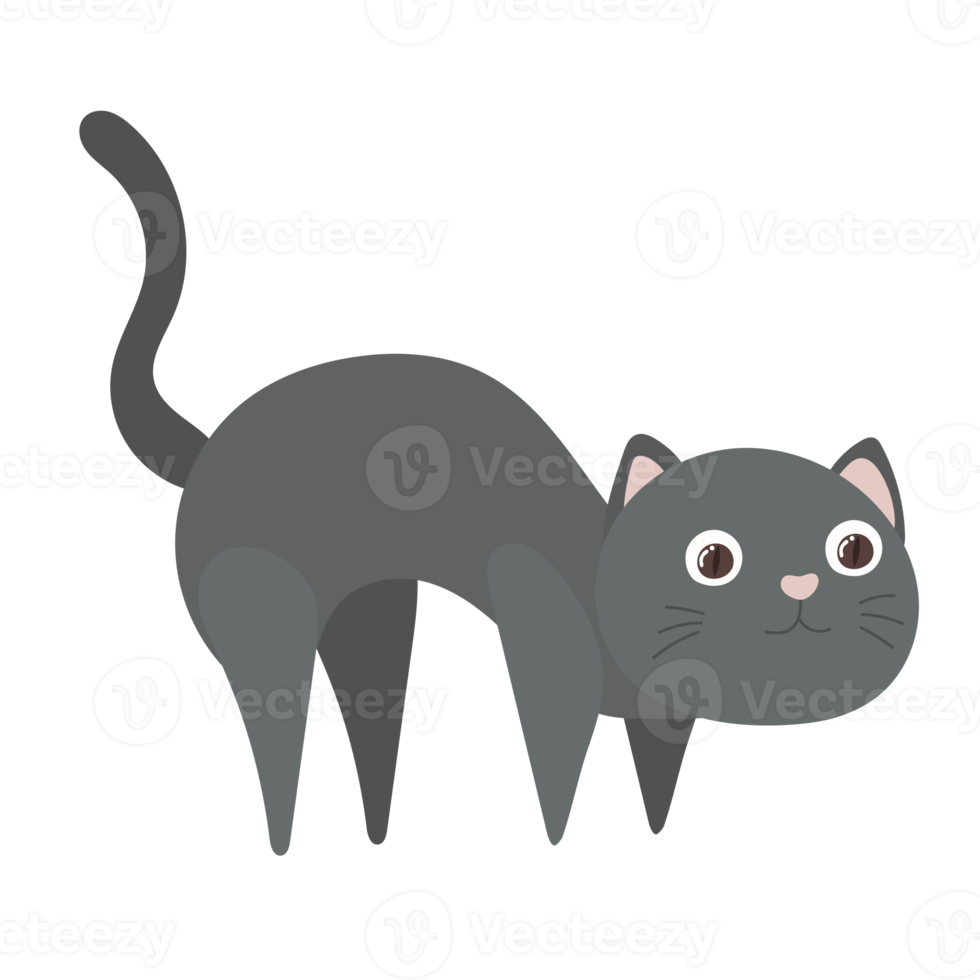 cat cartoon in flat style png