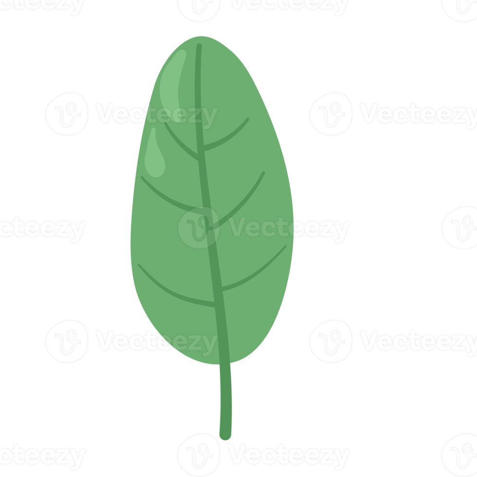leaf cartoon in flat style png