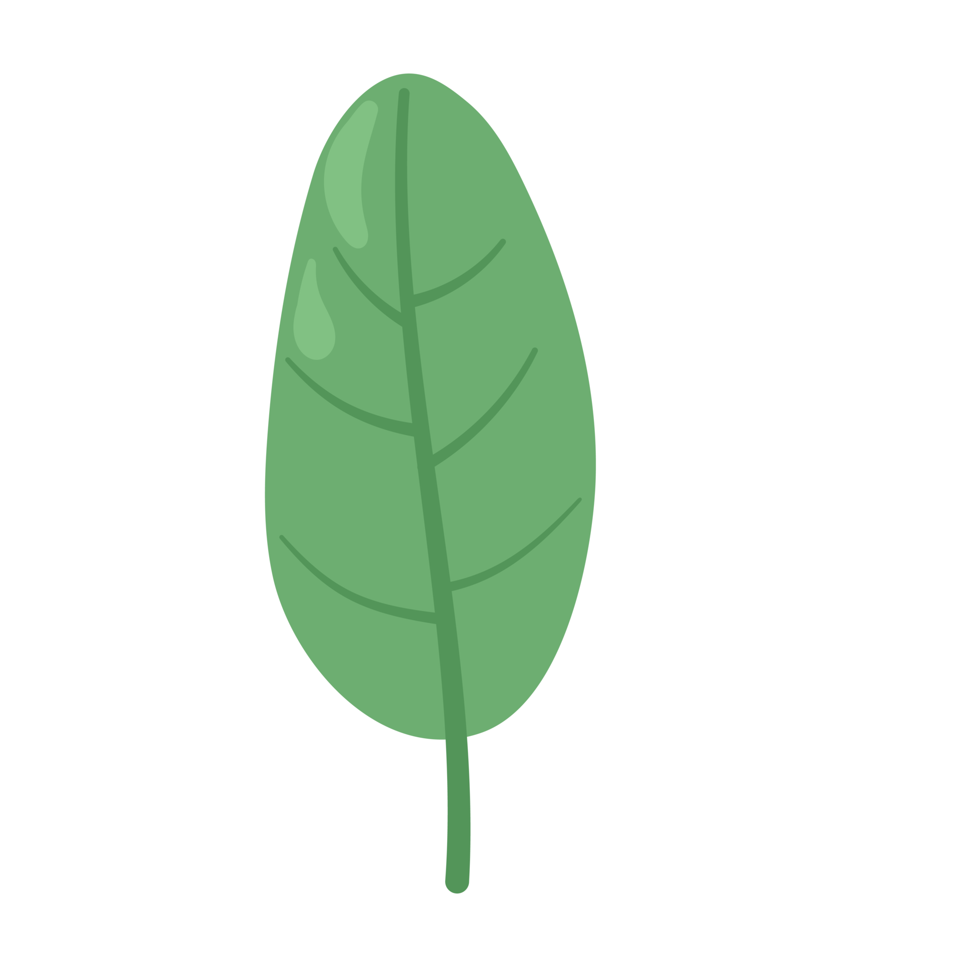 Free leaf cartoon in flat style 8480661 PNG with Transparent Background Free leaf cartoon in flat style 8480661 PNG with Transparent Background