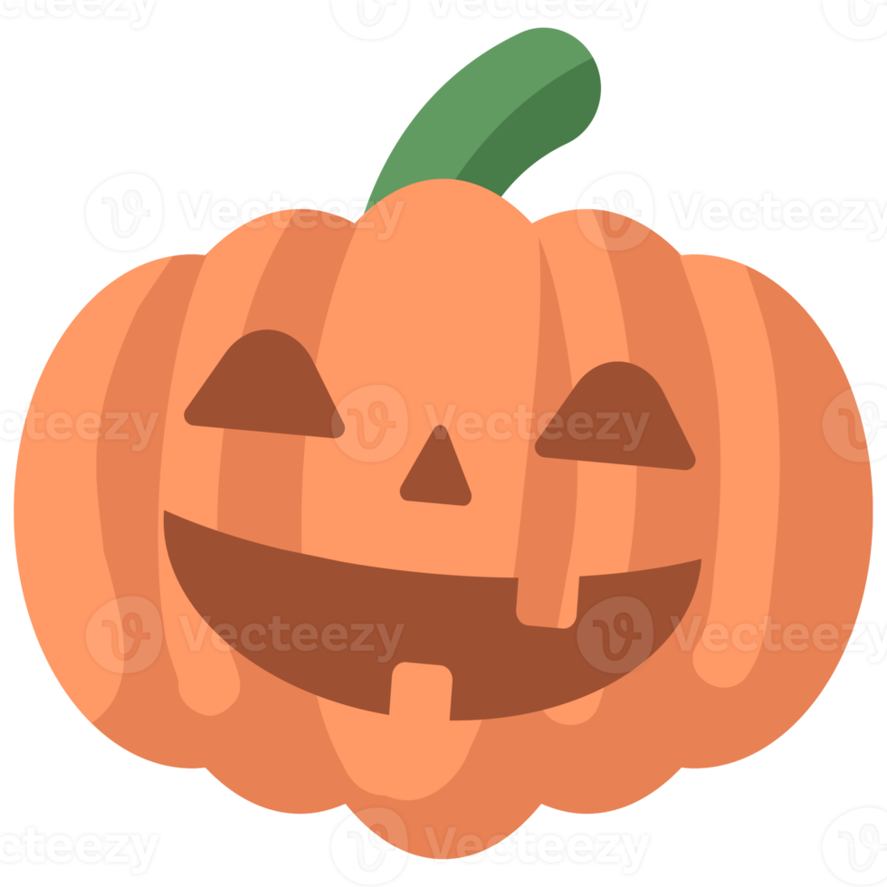 Pumpkin icon flat style png