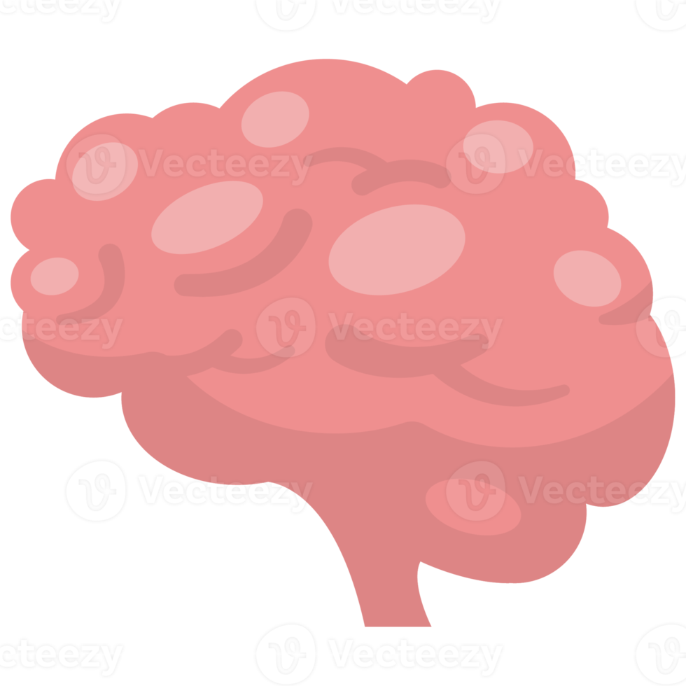 icône du cerveau dans un style plat png