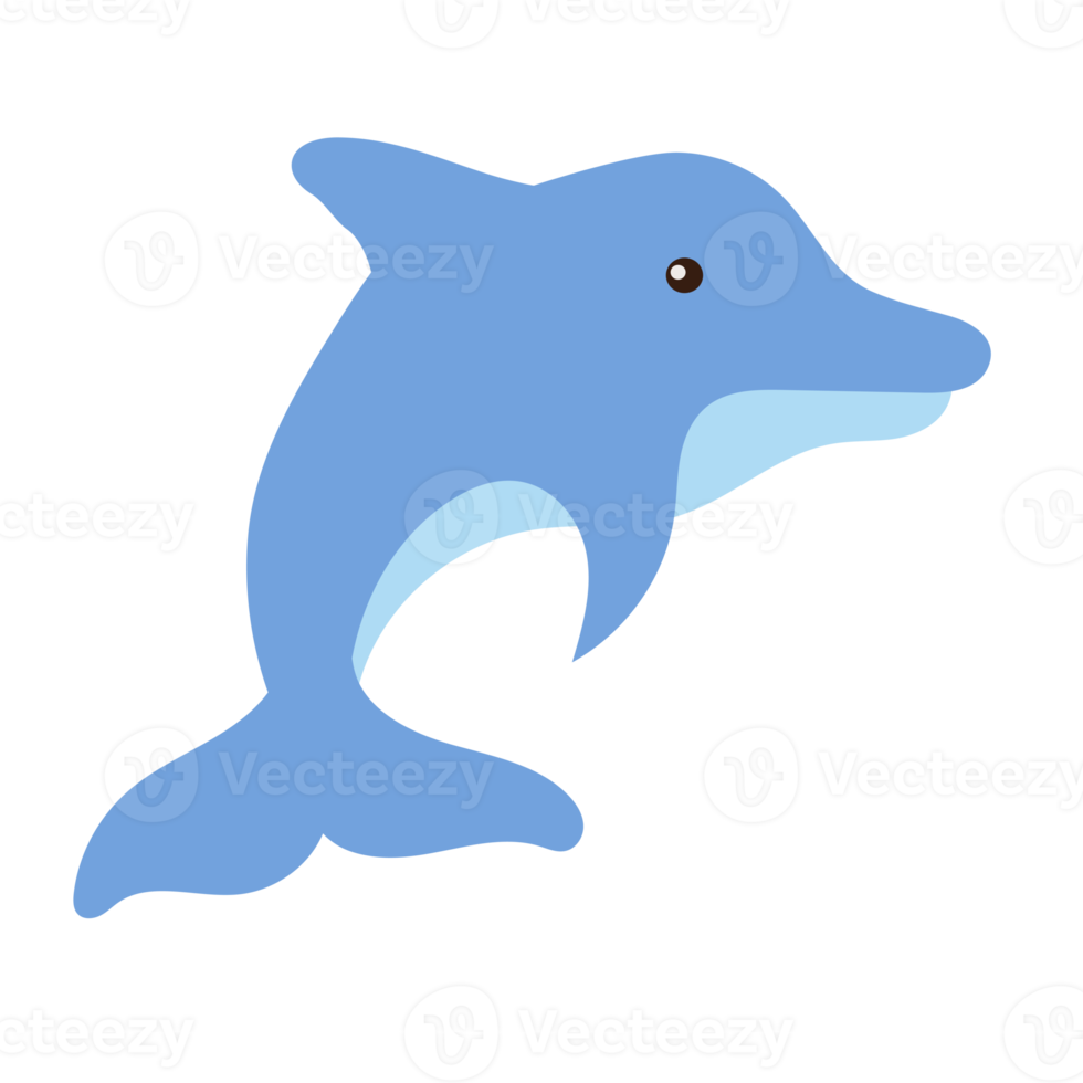 dolphin cartoon in flat style png