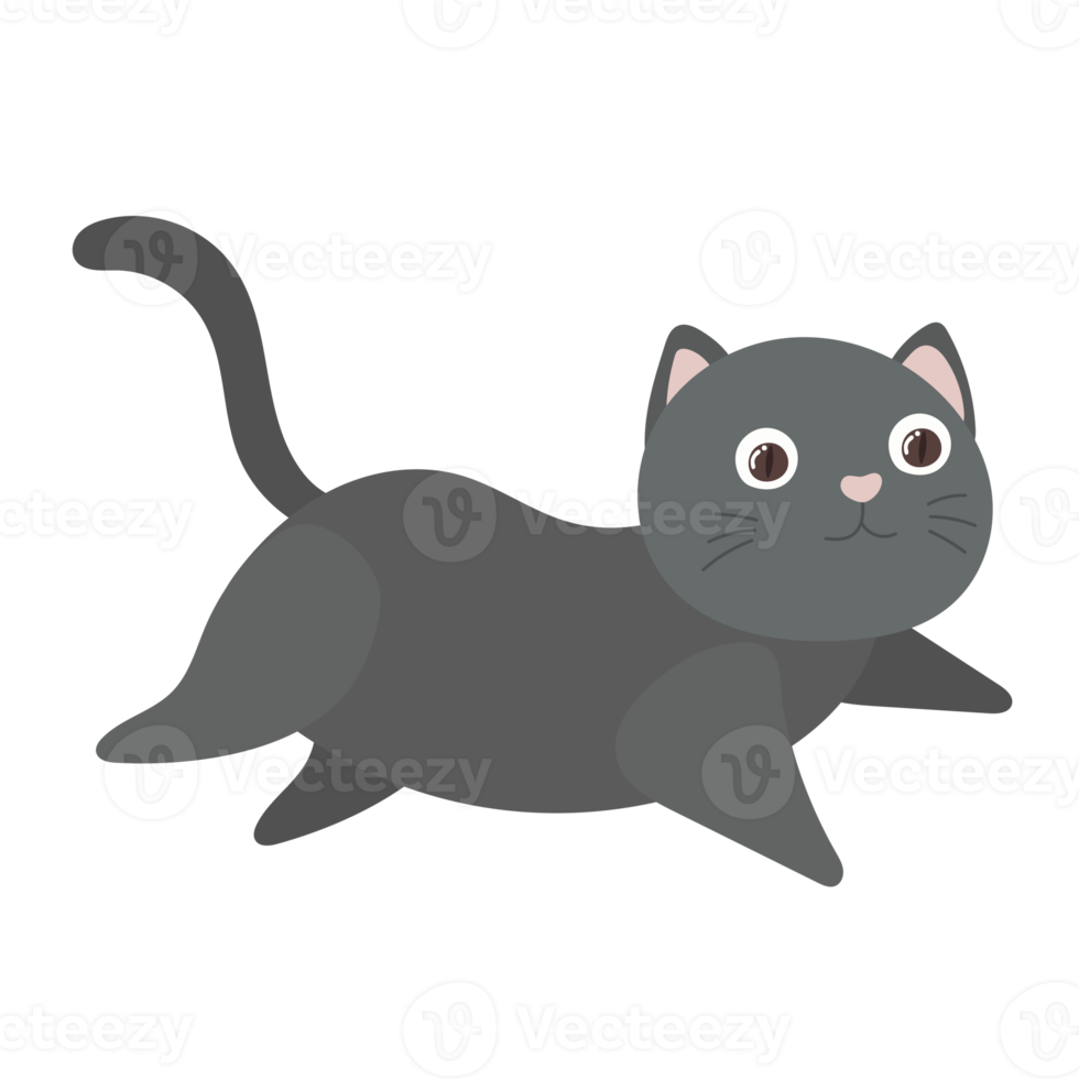 cat cartoon in flat style png