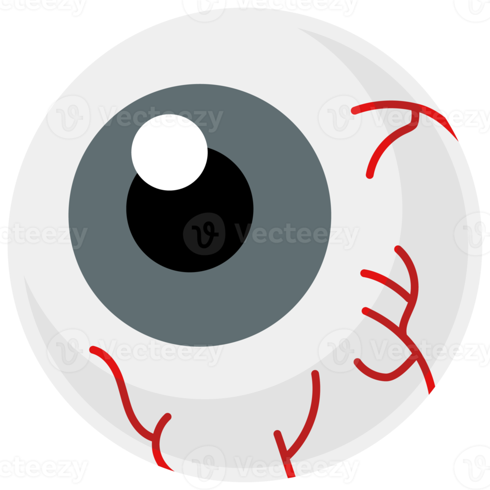 eye icon in flat style png