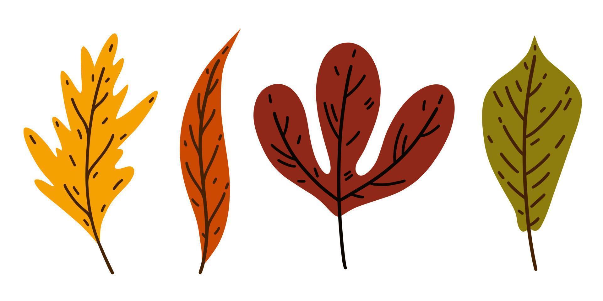 Bright autumn leaves vector set. Hand drawn sketch of a forest plant. Leaves of garden and wild trees - maple, birch, willow, oak. Fall botanical illustration, collection of flat cartoon clipart