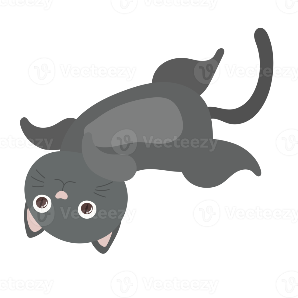 cat cartoon in flat style png