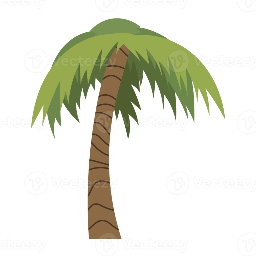 Palm tree cartoon png