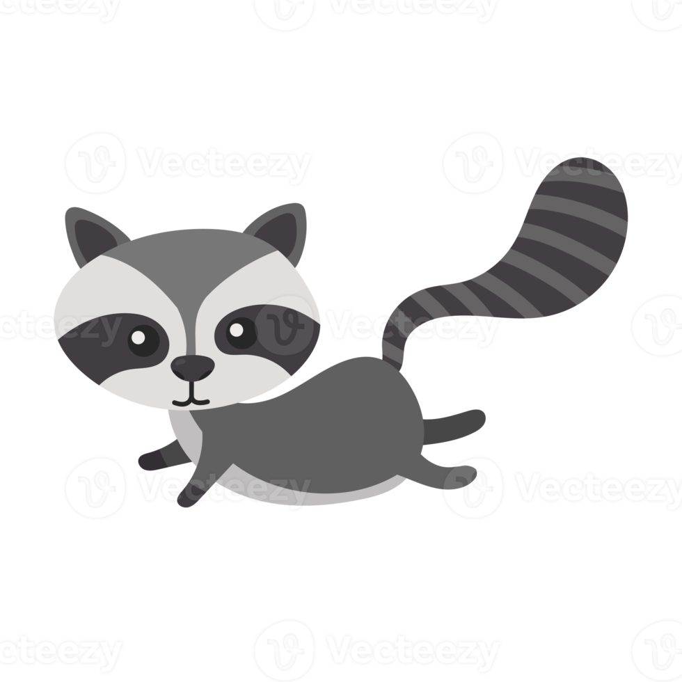 raccoon cartoon in flat style png