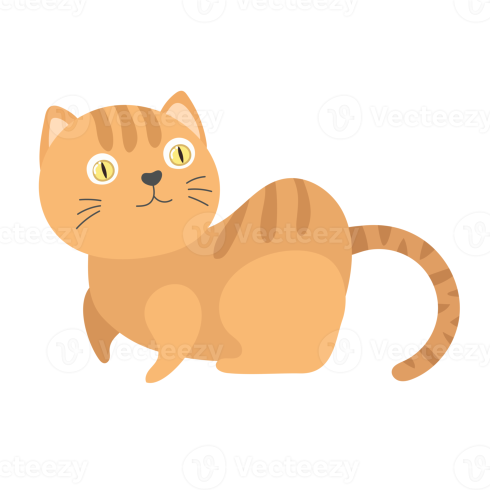 cat cartoon in flat style png