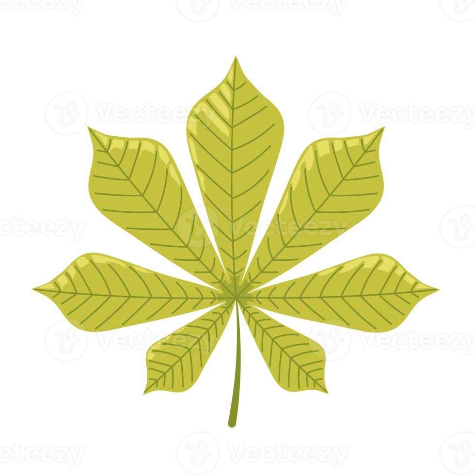 leaf cartoon in flat style png