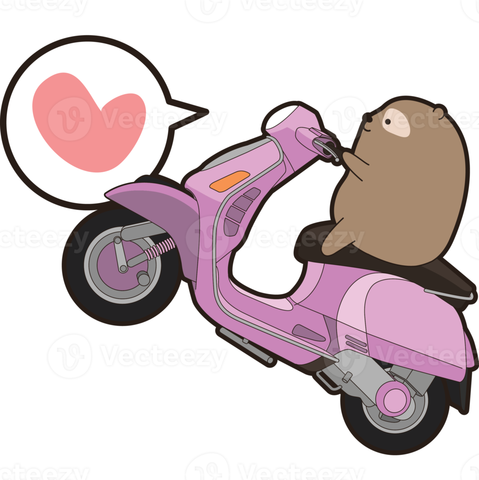 bear and cat character cartoon png