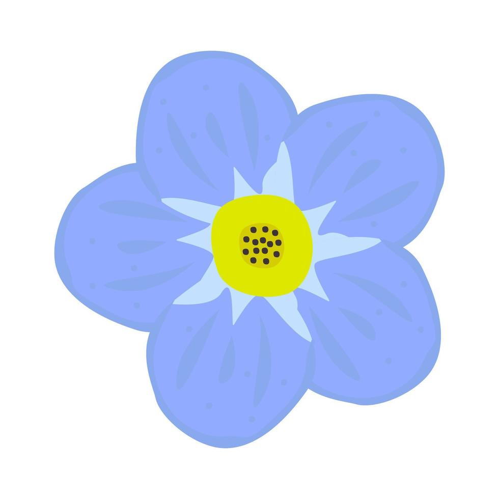 Single forget-me-not flower vector