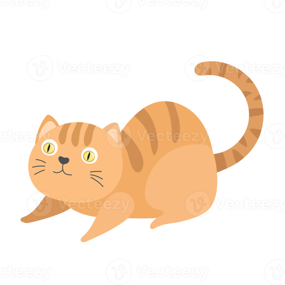 cat cartoon in flat style png