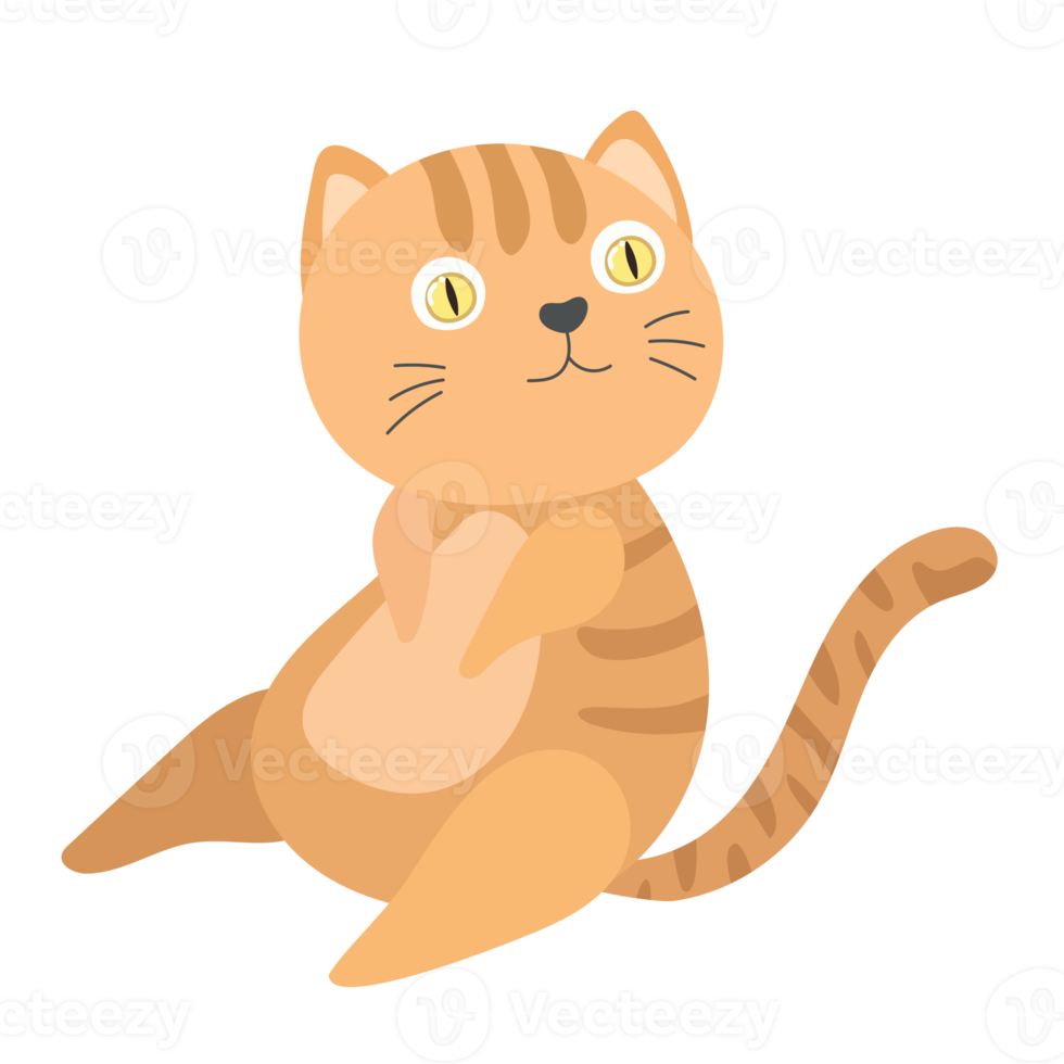 cat cartoon in flat style png